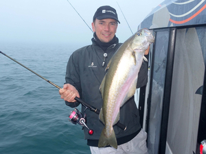 Pêche au large : c'est la saison du lieu jaune