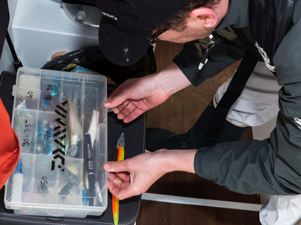 Un leurre de couleur claire à dos noir ou à dos vert est excellent. Les coloris incitatifs à base de jaune, orangé et rouge, ainsi que le coloris rose ont eux-aussi largement faits leur preuve.