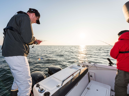 L'idée est de toucher le fond et, au moment où le leurre passe dans le banc de lieu, remonter doucement le leurre vers le bateau en s'arrêtant à 1/3 de la surface.