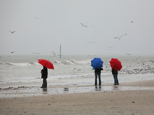 C'est plus vivant à côté du cœur...
