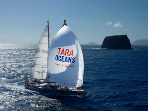 Tara met l'océan à contribution pour financer ses recherches
