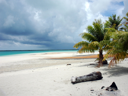 Les personnes ne souhaitant pas s'aventurer dans les profondeurs pourront profiter des nombreuses plages de sable rose pâle ou faire du snorkeling au-dessus des jardins coralliens. Nautisme Article