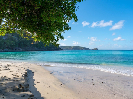 Au Sud-Ouest de l'île, les eaux calmes des baies de Lagoon, Gelliceaux et d'Endeavour, sont propices au snorkeling, au stand up paddle ou à la baignade. Au Sud-Ouest de l'île, les eaux calmes des baies de Lagoon, Gelliceaux et d'Endeavour, sont propices au snorkeling, au stand up paddle ou à la baignade.