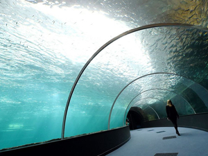 Boulogne-sur-Mer: le plus grand bassin de poissons d'Europe va ouvrir en mai