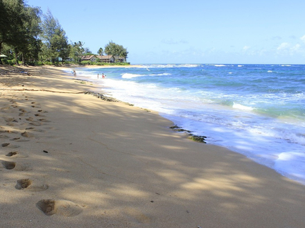 Plage de l'île Kauai à Hawaii