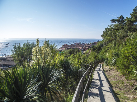 En balade face au bassin d'Arcachon