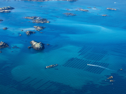 Le Sound est le mouillage principal de l'archipel. L?entrée du Sound en venant de Saint-Malo ou de Granville ne pose pas de problèmes particuliers à condition de bien suivre le balisage.  Le Sound est le mouillage principal de l'archipel. L?entrée du Sound en venant de Saint-Malo ou de Granville ne pose pas de problèmes particuliers à condition de bien suivre le balisage.