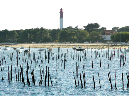 Il faut monter en haut du phare du Cap Ferret, qui offre du haut de ses 57 mètres une superbe vue sur la presqu'île et sur tout le bassin.  Nautisme Article