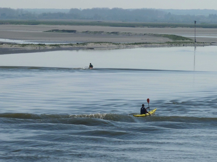Moins vaste que la Baie du Mont-St Michel (500 km2), la Baie de Somme génère un mini-mascaret sur des coefficients de marée supérieurs à 100, soit 40 jours par an en moyenne.