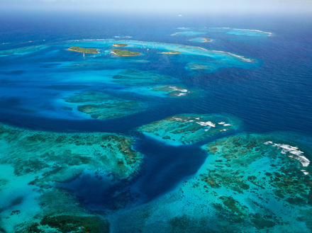 Les Tobago Cays abritent le Tobago Cays Marine Park, l'une des réserves marines les plus impressionnantes au monde.  Les Tobago Cays abritent le Tobago Cays Marine Park, l'une des réserves marines les plus impressionnantes au monde.