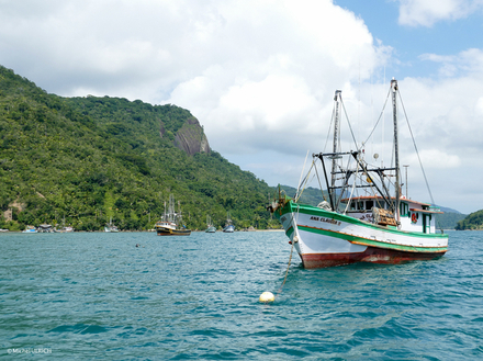 Bateau de pêche Bateau de pêche
