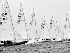 Grand Prix Guyader : les Dragons sont entrés dans la danse