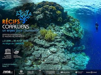 «Récifs coralliens, un enjeu pour l'humanité»...