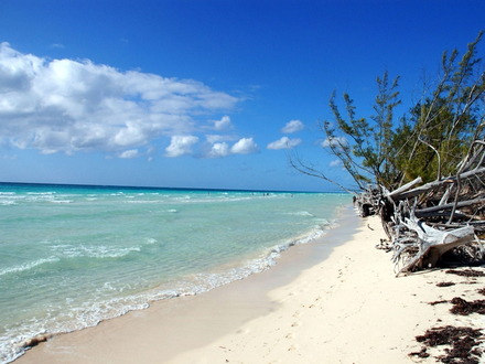 Gold Rock Beach Gold Rock Beach