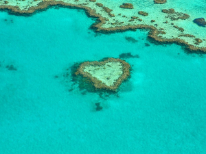 La Grande Barrière de corail, le plus bel endroit du monde ?