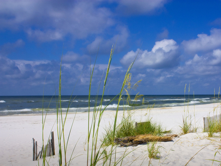 Gulf Shores