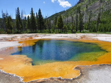 Le parc Yellowstone
