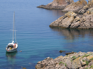 Houat, une île pour les amoureux de la nature