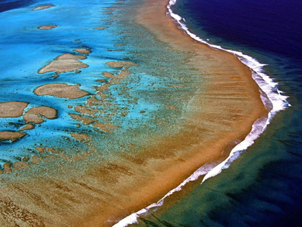 La barrière de corail de la Nouvelle-Calédonie