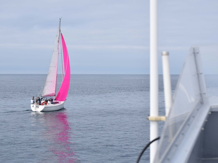 Après approche de ce voilier et interrogation du fichier, il ne sera pas contrôlé Après approche de ce voilier et interrogation du fichier, il ne sera pas contrôlé