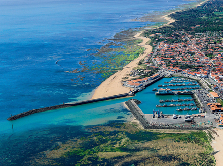 Port de la Cotinière