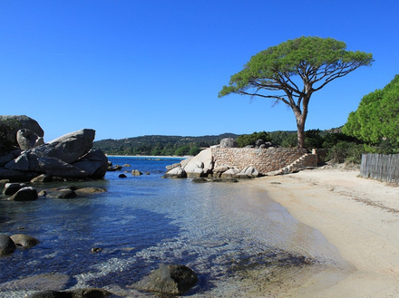 Plage de Palombaggia, Est de la Corse Plage de Palombaggia, Est de la Corse