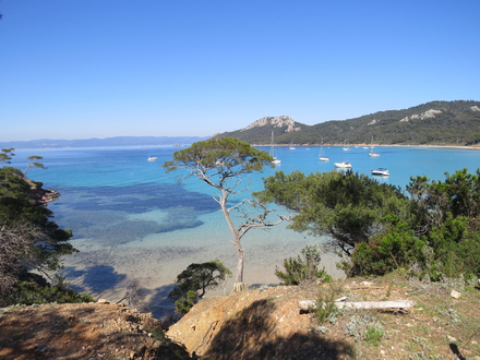 Plage Notre-Dame de Porquerolles Plage Notre-Dame de Porquerolles