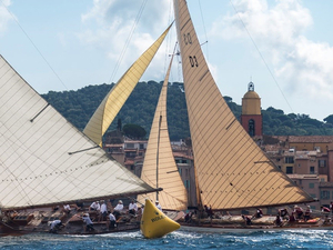 William Fife Jr, à l'honneur lors des Voiles de Saint-Tropez 2018