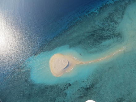 Paradis des plongeurs, l'île propose pas moins de 100 spots référencés pour la pratique de la plongée dans les eaux calmes du lagon ou en extérieur de barrière. Paradis des plongeurs, l'île propose pas moins de 100 spots référencés pour la pratique de la plongée dans les eaux calmes du lagon ou en extérieur de barrière.