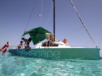 Industrie nautique : le mercato de l'été