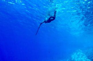 La pêche sous-marine : un sport culinaire très réglementé