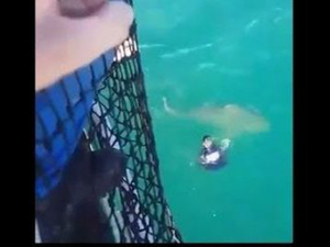 Vidéo : quand un militaire de la Marine saute... dans la gueule d'un requin, ou presque !