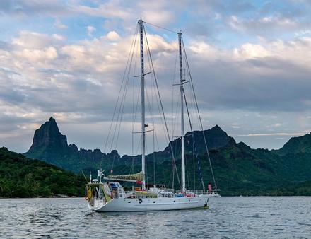 Le WHY au mouillage à Moorea. Pour la 2ème partie de son voyage, Under The Pole III se rend en Polynésie Française, pour étudier les coraux profonds et les super-prédateurs. Nautisme Article