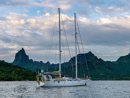 Le WHY au mouillage à Moorea. Pour la 2ème partie de son voyage, Under The Pole III se rend en Polynésie Française, pour étudier les coraux profonds et les super-prédateurs. Nautisme Article