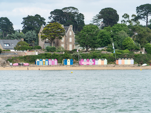 La perle du golfe : l'Île aux Moines