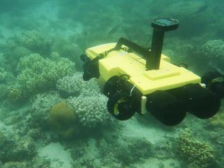 Grande barrière : un robot pour chasser les...