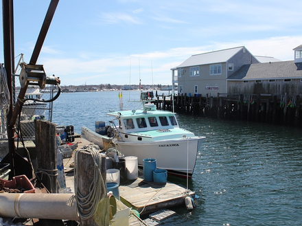 Portland vit au rythme de la mer. En témoignent son Vieux Port, ancien quartier industriel où s'entassent de nombreux casiers à homard. Portland vit au rythme de la mer. En témoignent son Vieux Port, ancien quartier industriel où s'entassent de nombreux casiers à homard.