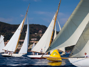 Régates Royales - Trophée Panerai : 200 équipages pour la 40e édition !