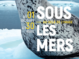 Exposition National Geographic au Musée Mer Marine de Bordeaux jusqu'au 30 avril 2019