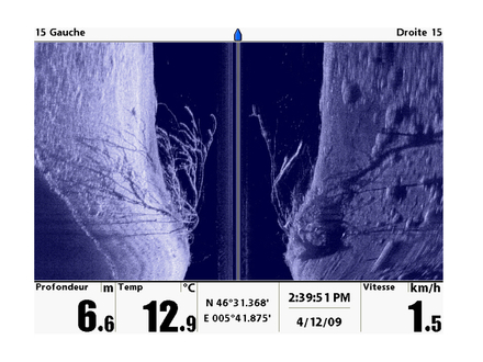 Avec la fonction Side Imaging on voit la présence d'un arbre sur le fond. Avec la fonction Side Imaging on voit la présence d'un arbre sur le fond.