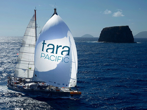 Retour de l'expédition Tara Pacific : des constats inattendus sur un patchwork corallien