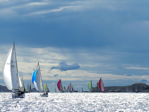 En régate dans le Vieux Port de Marseille
