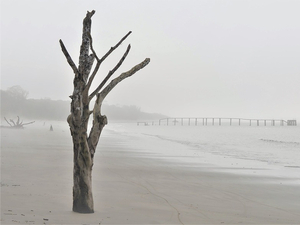 Coup de froid sur nos plages cette semaine