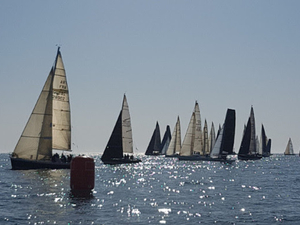 Un véritable engouement pour le Challenge d'Automne SNT