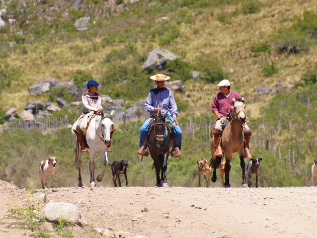 Gauchos en Patagonie Nautisme Article