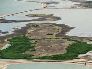 Les Pays-Bas construisent cinq nouvelles îles pour la biodiversité