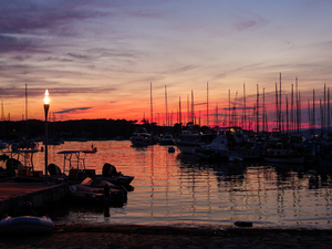 L'Escale : the place to go à Porquerolles