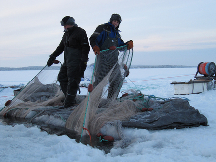 Pêche dans un lac gelé