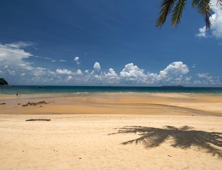 L'un des spots les plus impressionnants de l'île de Tioman est le site de Tiger Reef : on y découvre des sculptures coralliennes surréalistes... Les plus chanceux pourront apercevoir des requins-baleines ! Nautisme Article