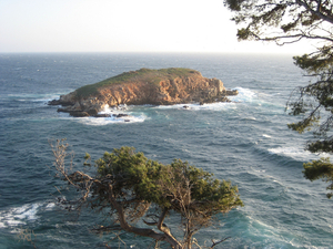 Mistral et mauvais temps ressenti au sud-est 